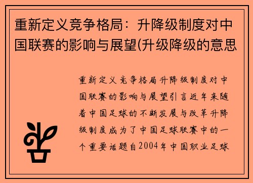 重新定义竞争格局：升降级制度对中国联赛的影响与展望(升级降级的意思)