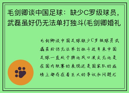 毛剑卿谈中国足球：缺少C罗级球员，武磊虽好仍无法单打独斗(毛剑卿婚礼)